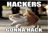 HACKERS GONNA HACK quickmeme.com