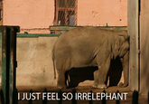 I JUST FEEL SO IRRELEPHANT