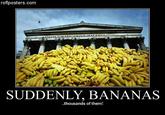 ad0.jpg roflposters.com SUDDENLY, BANANAS ..thousands of them!