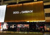 DOG & GARBAGE review33.com