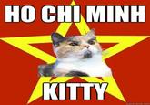 HO CHIMINH KITTY