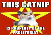 THIS CATNIP IS PROPERTYOF THE PROLETARIAT quickmeme.c