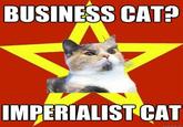 BUSINESS CAT? MPERIALIST CAT