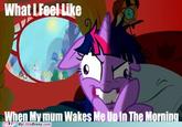 What LFeel Like When My mum Wakes Me Up In The Mornin My LittleBrony.com