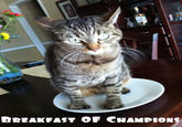 BREAKFAST OF CHAMPIONS