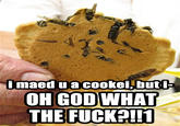 imaed u a cookei, buti- OH GOD WHAT THE F----!