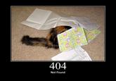 404 Not Found