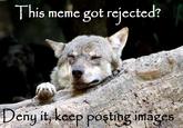 This meme got rejected? enu