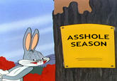 A------ SEASON
