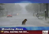 Breaking News LIVE STILL WAITING FOR FRY... EXCLUSIVE