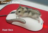 Doesn't Had Sex