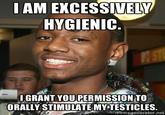 AM EXCESSIVELY HYGIENIC IGRANT YOU PERMISSION TO ORALLY STIMULATE MY TESTICLES memegenerator.net