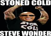 STONED COLL STEVE WONDER