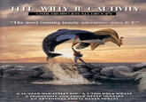 ED WILLY III CADTIVITY UNTIL HIS FIN GETS ALL DROOPY "The most rousing family adventure since E. T." A 12-YEAR-OLD STREET KID. A 3-TON ORCA WHALE A FRIENDSHIPYOU COULD NEVER IMAGINE AN ADVENTURE YOULL NEVER FORGET