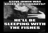 f29.jpg STEVE IRWIN WAS KILLED BY STINGRAYS? HE'LL BE SLEEPING WITH THE FISHES
