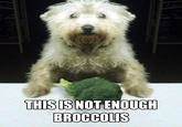 THISIS NOT ENOUGH BROCCOLIS