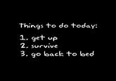 Things to do today: 1. get up 3. qo back to bed 2. Survive
