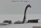 balatonhummer.bloa.hu h ttp://top-memes. com