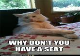WHY DONT YOU HAVE A SEAT
