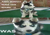 19 AND BINGO WAS HIS NAME O WAS