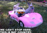 019.jpg WE CAN'T STOP HERE THIS IS BAT COUNTRY