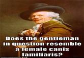 Does the gentleman in question resemble afemale canis familiaris? DEAN HAS CHEEZBURGER, COM