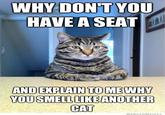 WHY DON'T YOU HAVE A SEAT AND EXPLAIN TO ME WHY YOUSMELL LIKE ANOTHER WeKnowMemes
