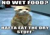 NO WET FOOD? HAFTA EAT THE DRY STUFF