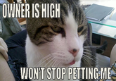 OWNER IS HIGH WON'T STOP PETTINGME