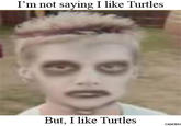 I'm not saying I like Turtles But, I like Turtles