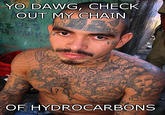 YO DAWG, CHECK OUT MY CHAIN OF HYDROCARBONS