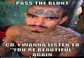 PASS THE BLUNT CD LWANNA LISTEN TO "VOU'RE BEAUTIFUL AGAIN