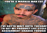 YOU'RE A MARKED MAN ESÉ VE GOTTA WAIT UNTILTUESDAY TO GET MY PRODUCT LIFE CYCLE ASSIGNMENT GRADED THOUGH