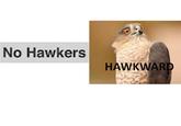 No Hawkers HAVK