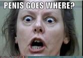 742.jpg PENIS COES WHERE?