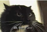 b4d.jpg Don Piano
