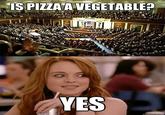 IS PIZZATA VEGETABIE YES