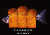 THE MARVELOUS BREADFISH