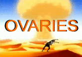 465.gif OVARIESS