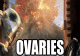 07a.gif OVARIES