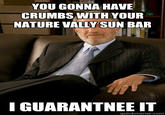 0eb.jpg YOU GONNA HAVE CRUMBS WITH YOUR NATURE VALLY SUN BAR I GUARANTNEE IT quickmeme.com