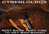 CYBERLOLRUS SENT BACK THRU TIME TO GET MAH BUKKIT