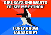 GIRLSAYS SHE WANTS TO SEE MY PYTHON IONLY KNOW JAVASCRIPT quickmeme.com