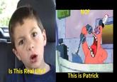 NOI Is This Real Life? This is Patrick