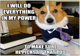 WILL DO EVERYTHING IN MY POWER TO MAKE SURE HEPICKSUPTHAT POO