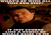 WHAT'S UP WITH ALL THIS DUB STEP? IT JUST SOUNDS LIKE A BUNCH OF WHALE NOISE TO ME