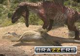 BRAZZERS