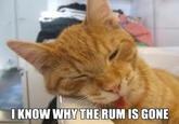 IKNOW WHYTHE RUM IS GONE