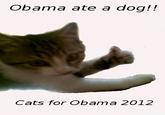 Obama ate a dog!! Cats for Obama 2012