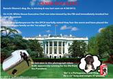 CANINE FIDO ALERT Barack Obama's dog, Bo, is missing & was last seen on 4/28/2012. On 4/29, White House Executive Chef was interviewed by the FBI and immediately invoked her right to counsel. spokesperson for the SPCA tearfully stated they fear the worst and have placed the On 4/30, a entire Obama family on the"no adopt" list. Bo last seen in this photograph taken 4/28, apparently running for his life from the President. MISSING Bo" is a Portuguese Water Dog. He is 22" long and weighs 47 pounds O 2012 JeffreyBlevins.com